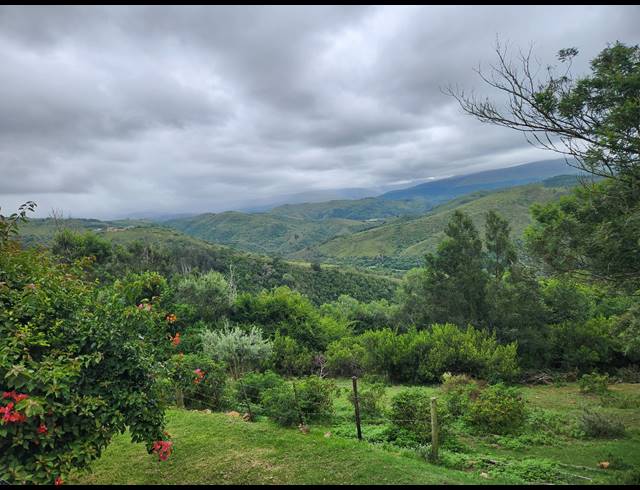 22.90HA FARM FOR SALE IN RUITERBOS